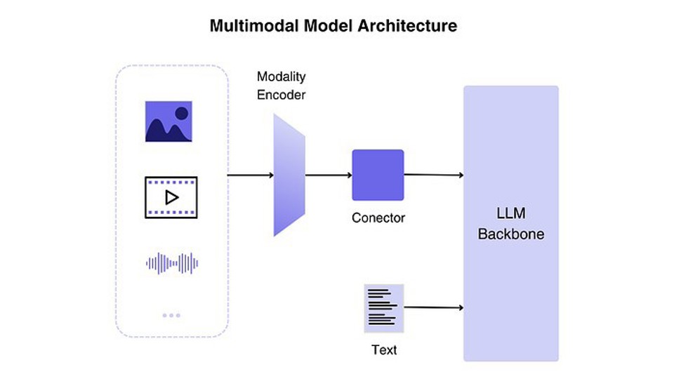 Multimodal Large Language Model (MLLM)